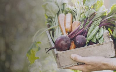 Grow A Row And Help Feed Calgary